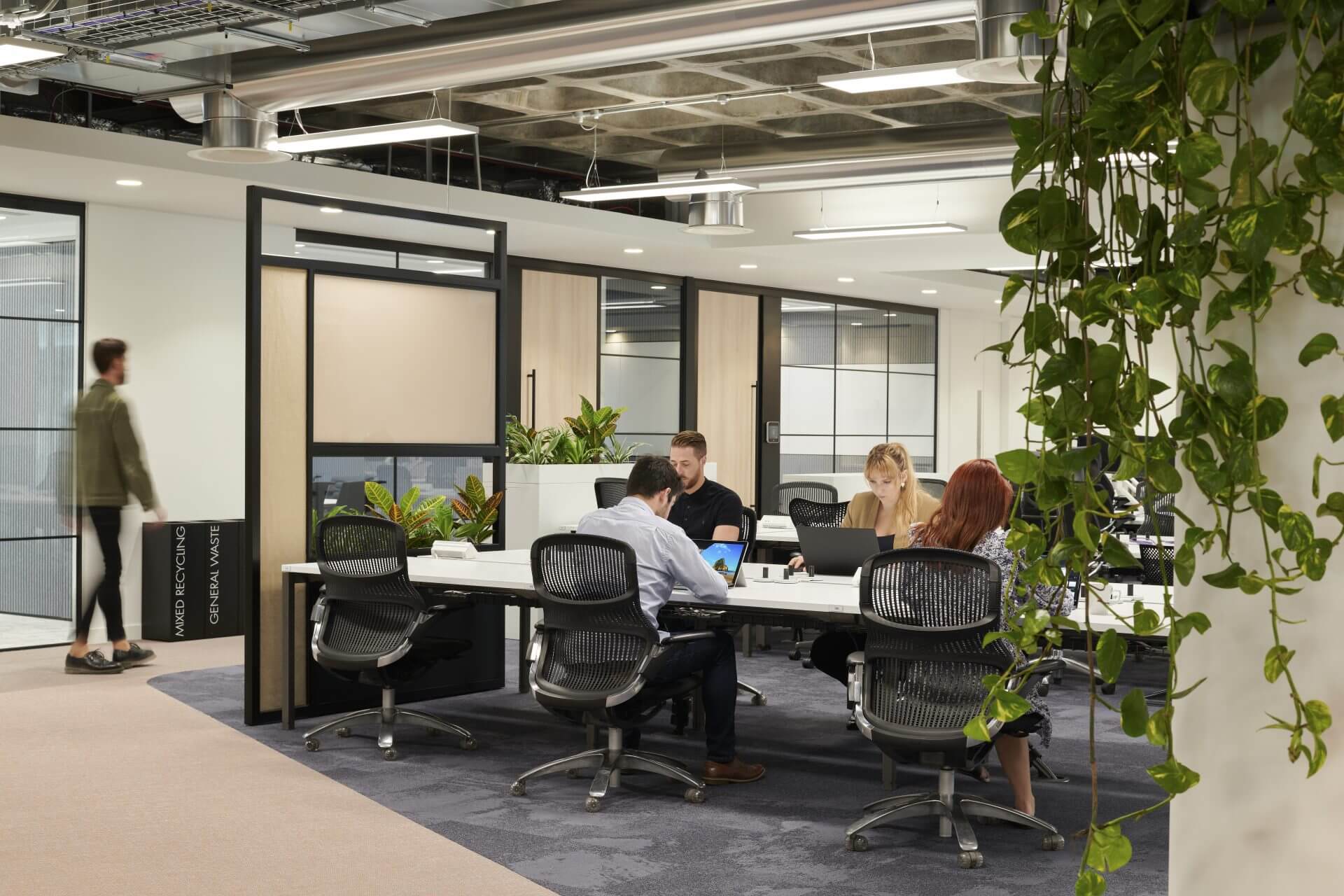 communal office area with plants