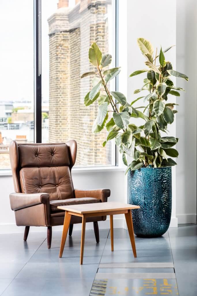 Anomaly 2 Anomaly 11