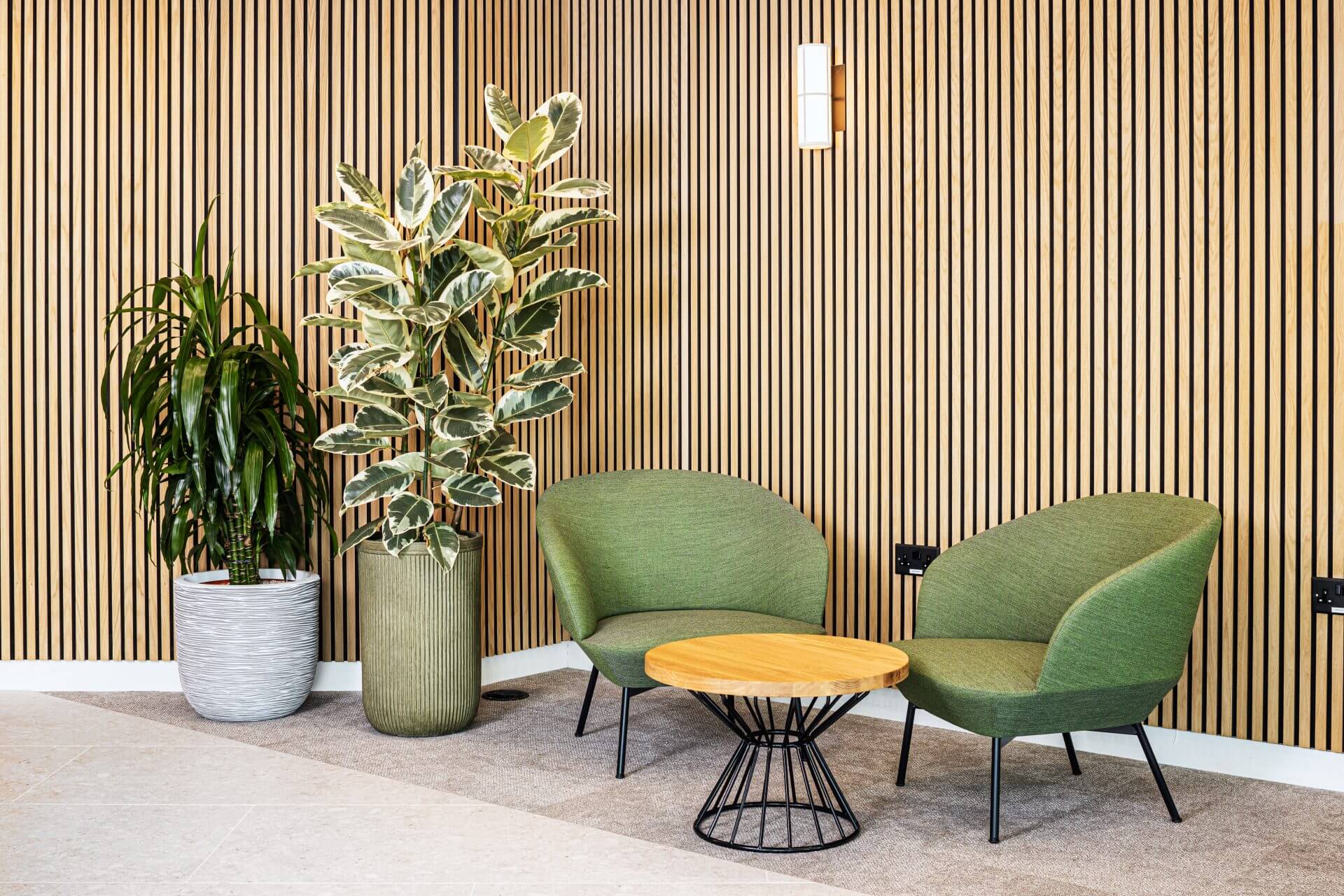 Endava 7 Planting and pots at Endava, London by Planteria